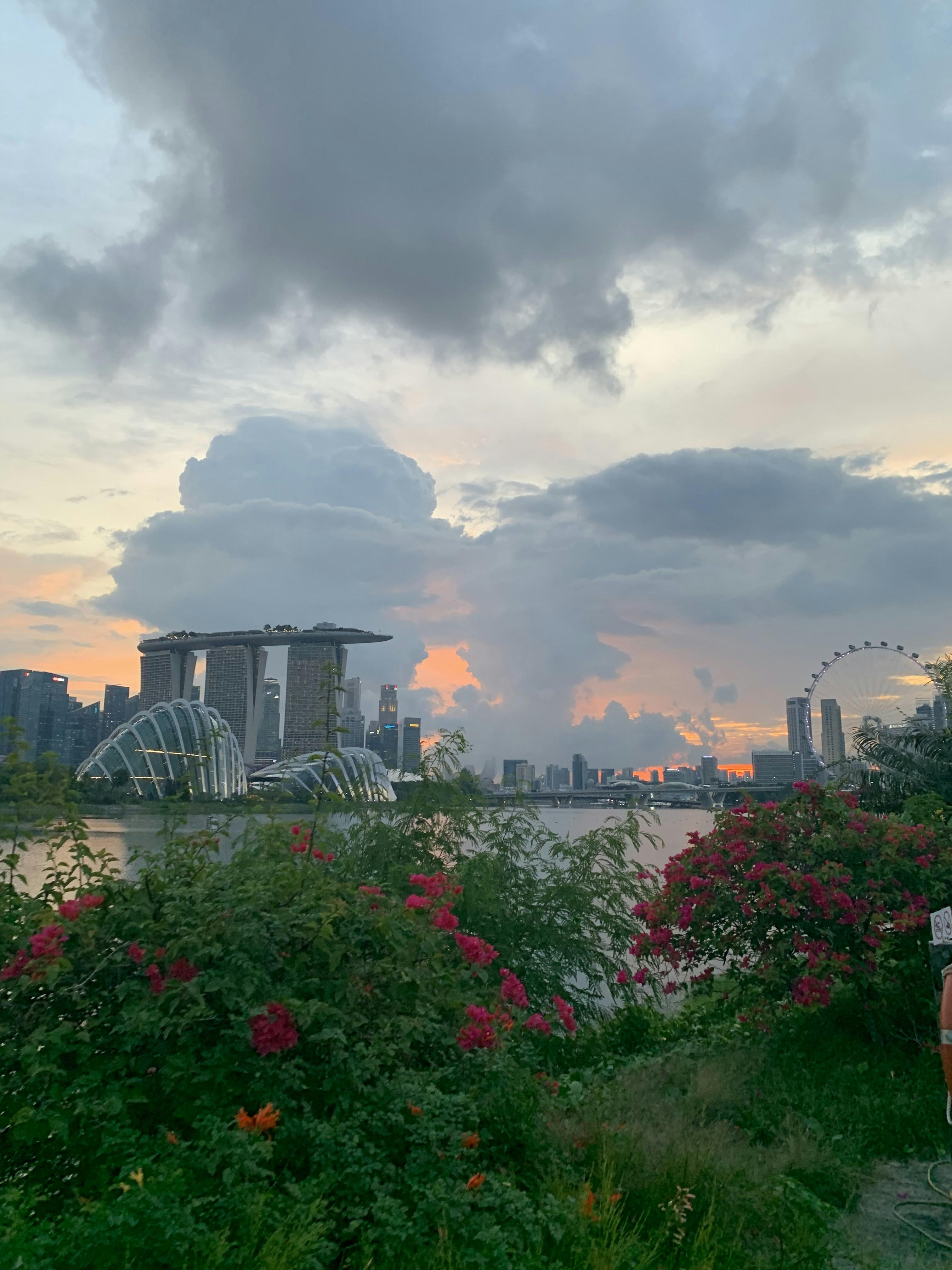 Modern Singapore skyline with Marina Bay Sands hotel and Gardens by the Bay at sunset